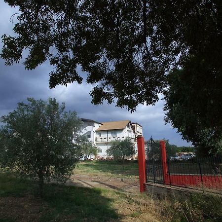 B&B La Primula Пьяцца-Армерина Экстерьер фото